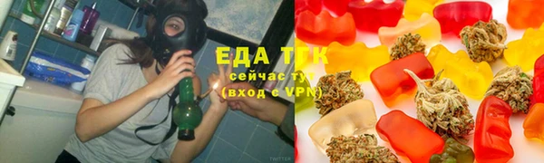 стаф Бородино