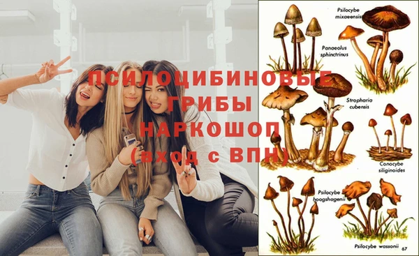 соль ск Бронницы