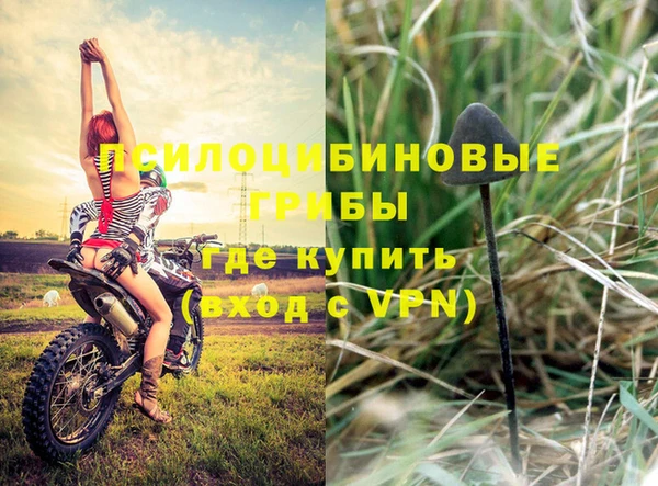 стаф Бородино