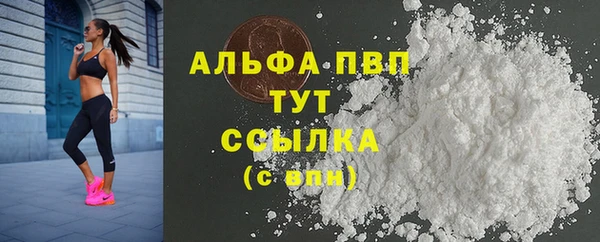 стаф Бородино