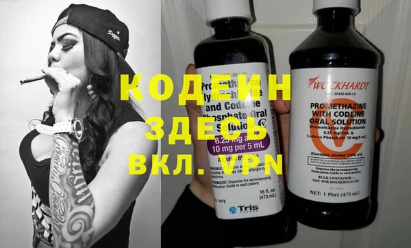 стаф Бородино