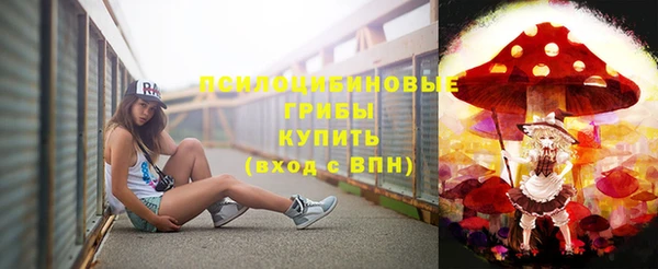 соль ск Бронницы